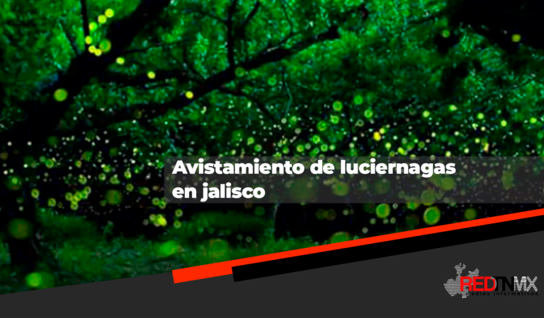 El Espectáculo de las Luciérnagas en el Parque Ecológico Huilotán de Jalisco