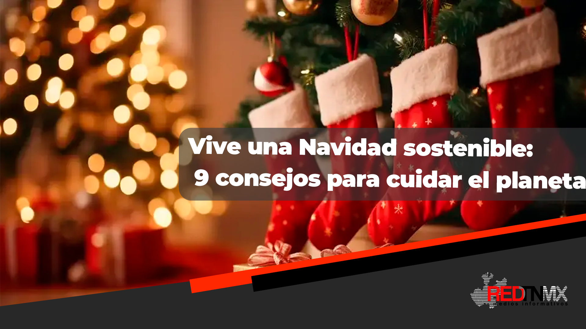 Consejos para disfrutar de una Navidad sostenible y responsable ...