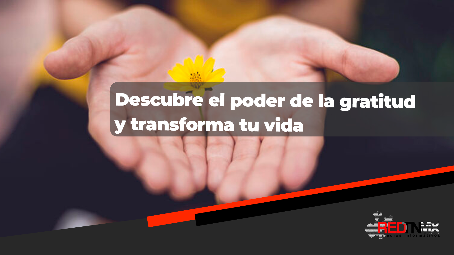 El poder de la gratitud: clave para una vida plena y positiva ...