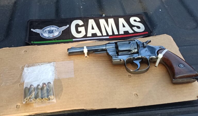 POLICÍAS DE GUADALAJARA DETIENEN CONDUCTOR CON REVÓLVER EN OBLATOS