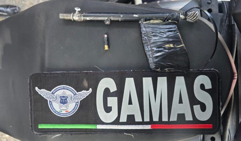 CAE CON ARMA HECHIZA EN JARDINES DE SAN FRANCISCO CON OPERATIVO PUMA