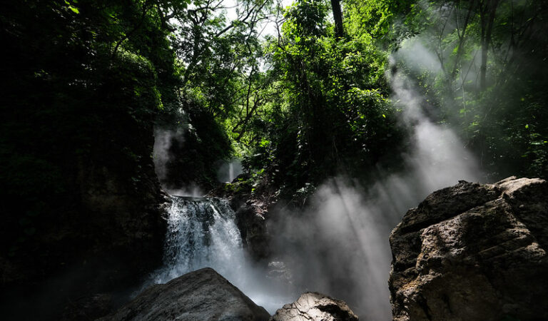 Bosque La Primavera cumple 46 años; más de 850 hectáreas se han perdido