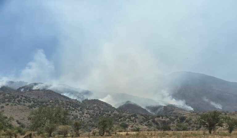 Movilizan a más de 90 brigadistas por incendios en Ahualulco, Ameca y Tequila