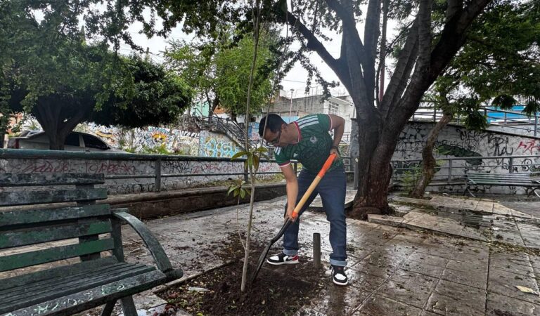Reforestarán 8 colonias con 100 ejemplares en la zona Industrial Sur de Guadalajara