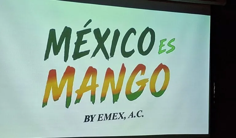 Ruta del Mango busca conquistar el mercado mexicano; Jalisco impulsa consumo nacional del fruto