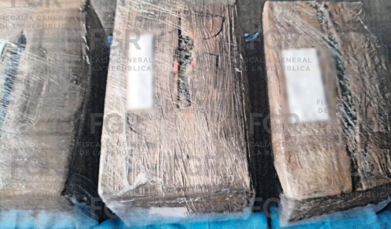 Vinculan a proceso a dos detenidos con 10 kilos de marihuana en Magdalena; uno queda en prisión