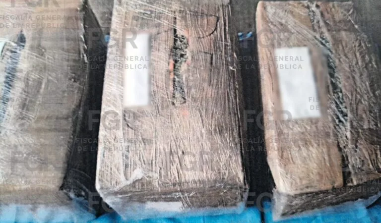 Vinculan a proceso a dos detenidos con 10 kilos de marihuana en Magdalena; uno queda en prisión