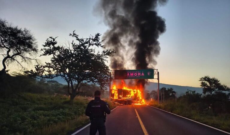 Operativo contra “Tío Lako” deja 9 detenidos y arsenal asegurado en Michoacán