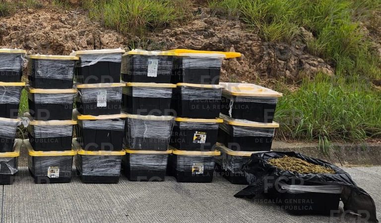 FGR investiga hallazgo de 400 kilos de presunta marihuana en camioneta siniestrada en Venta del Astillero