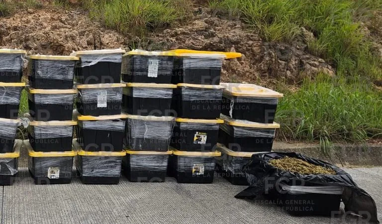 FGR investiga hallazgo de 400 kilos de presunta marihuana en camioneta siniestrada en Venta del Astillero